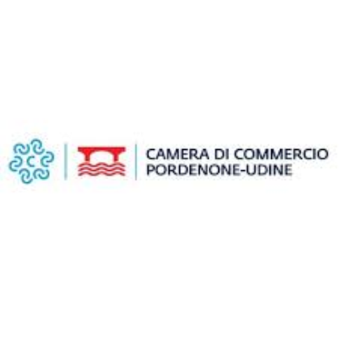Pordenone Udine, Contributi a fondo perduto fino al 70% per la digitalizzazione delle imprese