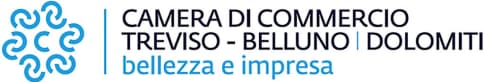 Treviso Belluno, Interventi per la Digitalizzazione con Contributi a fondo perduto fino al 60% (max 24.000) 