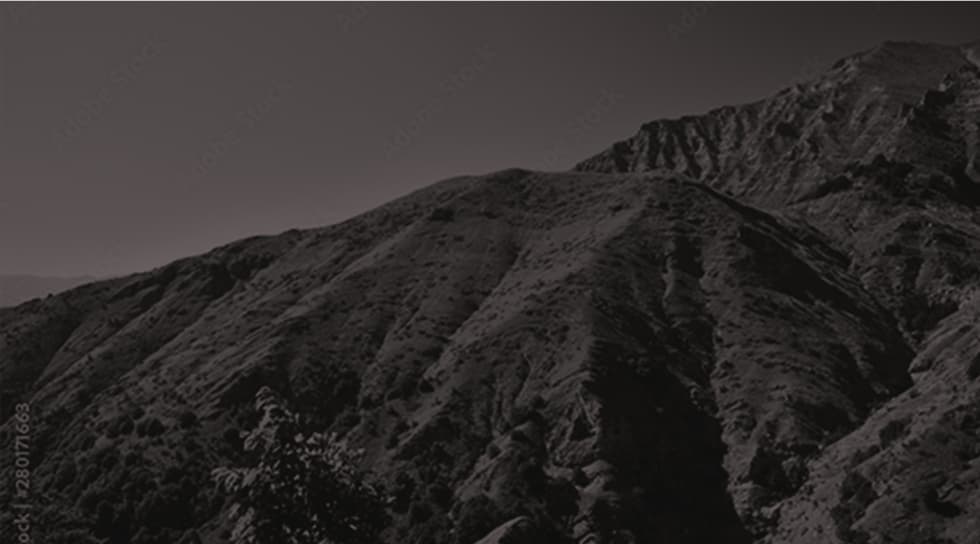 Terra di Amatrice Onlus