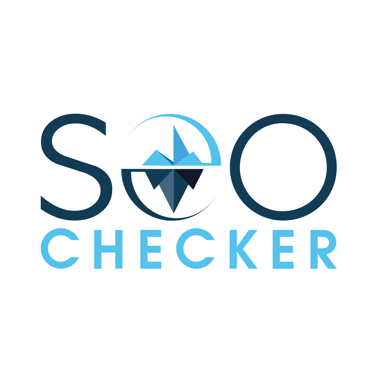 Seo Checker