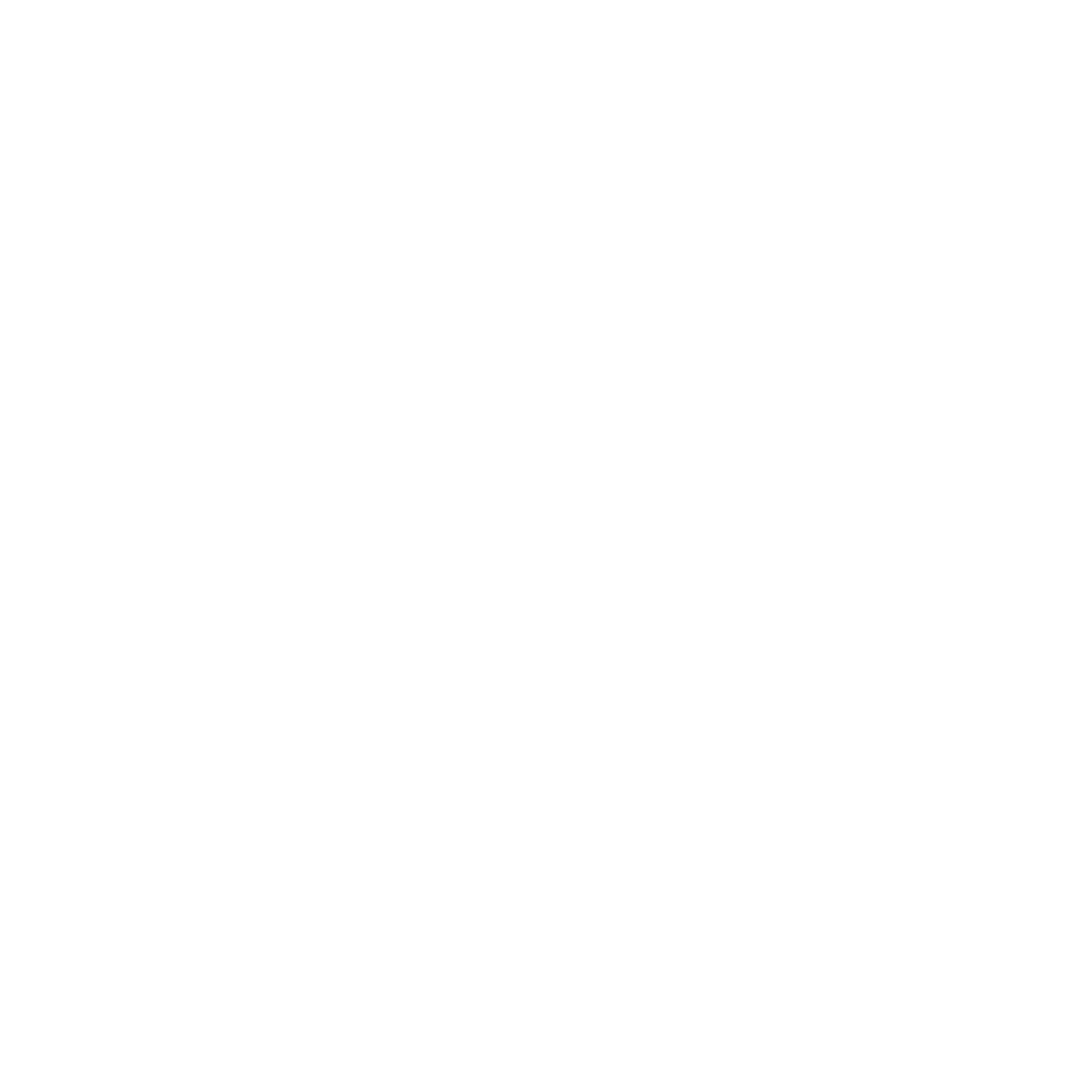 Seo Checker