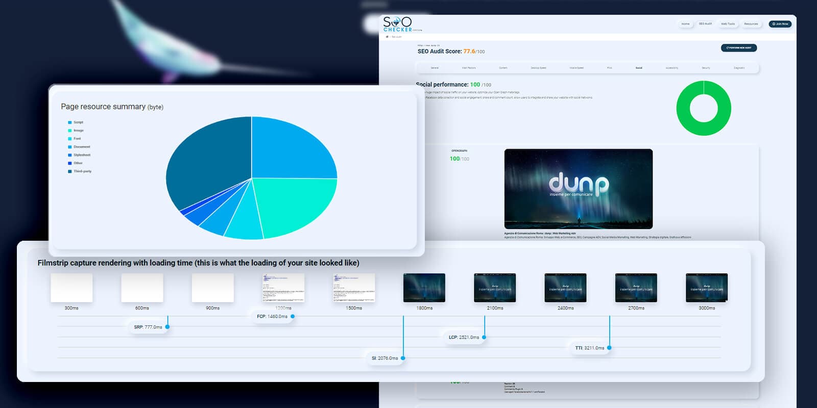 Seo Checker